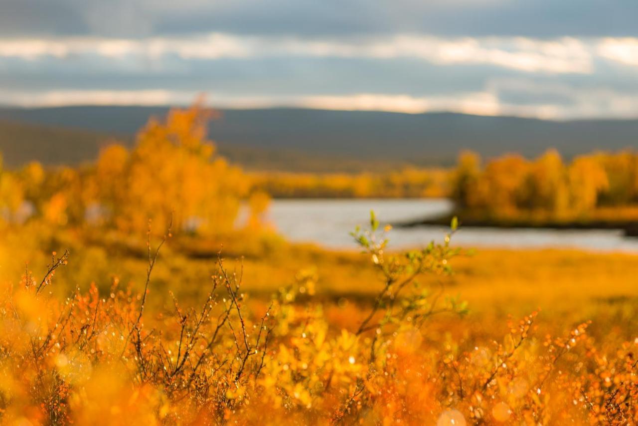 Arctic Gourmet Cabin Kiruna Exteriér fotografie