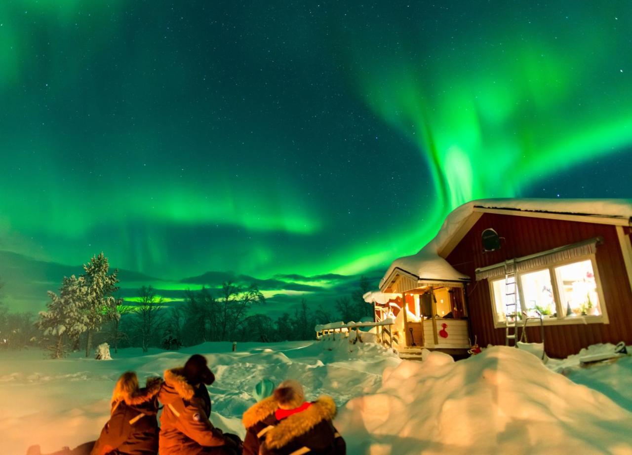 Arctic Gourmet Cabin Kiruna Exteriér fotografie